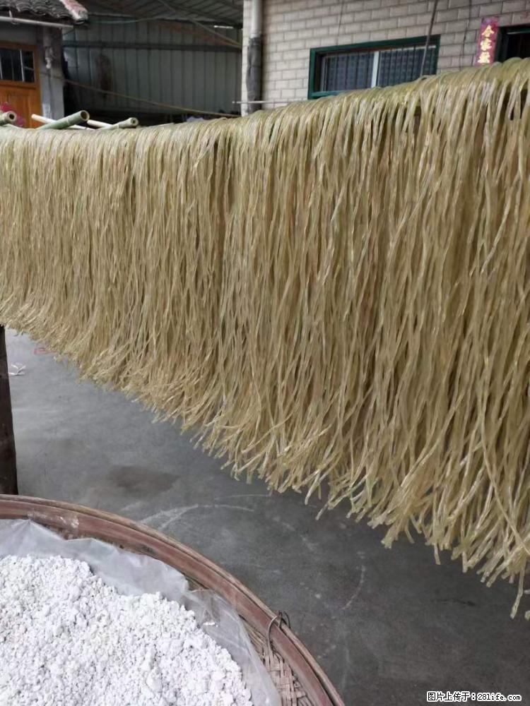 【灌阳正宗红薯粉】美女家里自己做的，干净卫生，假一赔十，价格合理，抢购电话：13737312895 - 美食天地 - 信阳生活社区 - 信阳28生活网 xy.28life.net