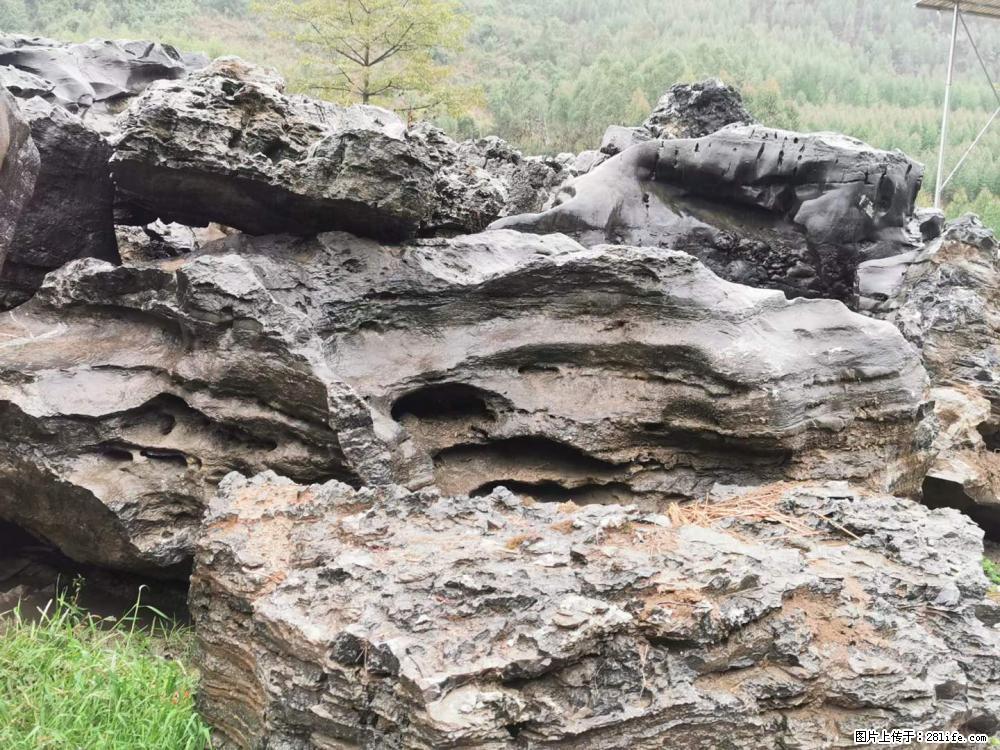 风景石、假山石大量有货，有需要的欢迎联系 - 新手上路 - 信阳生活社区 - 信阳28生活网 xy.28life.net