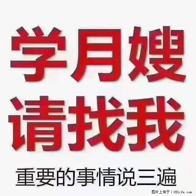 为什么要学习月嫂，育婴师？ - 新手上路 - 信阳生活社区 - 信阳28生活网 xy.28life.net