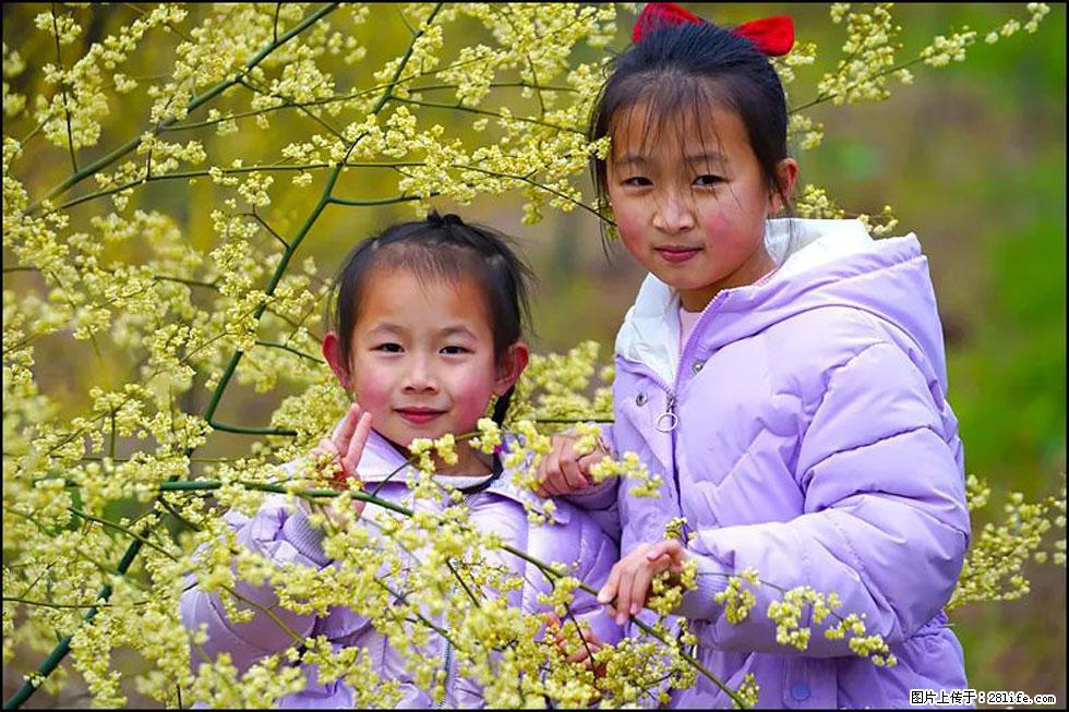 【春天，广西桂林灌阳县向您发出邀请！】米珠山前有片山苍子花在飘香 - 游山玩水 - 信阳生活社区 - 信阳28生活网 xy.28life.net