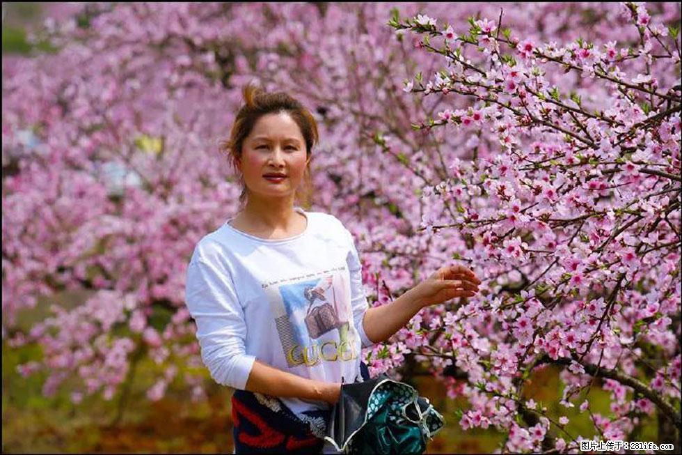 【春天，广西桂林灌阳县向您发出邀请！】官庄村有个醉美的桃花园 - 游山玩水 - 信阳生活社区 - 信阳28生活网 xy.28life.net