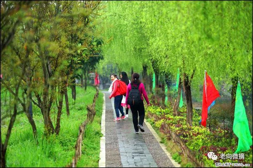 【春天，广西桂林灌阳县向您发出邀请！】江口老街又逢春 - 游山玩水 - 信阳生活社区 - 信阳28生活网 xy.28life.net