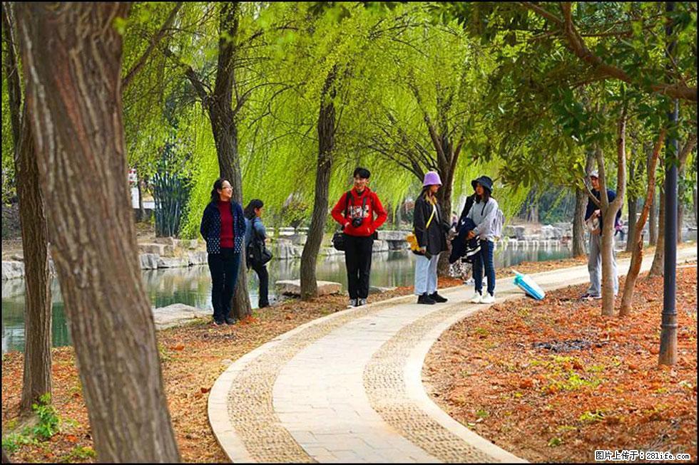 【春天，广西桂林灌阳县向您发出邀请！】江口老街又逢春 - 游山玩水 - 信阳生活社区 - 信阳28生活网 xy.28life.net