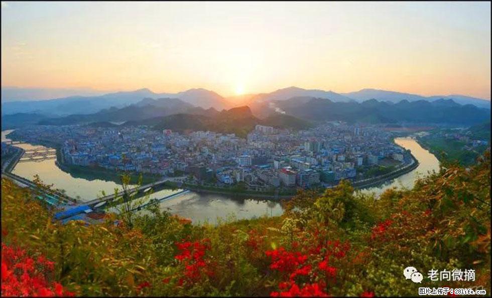 【春天，广西桂林灌阳县向您发出邀请！】登麒麟山，相约映山红 - 游山玩水 - 信阳生活社区 - 信阳28生活网 xy.28life.net