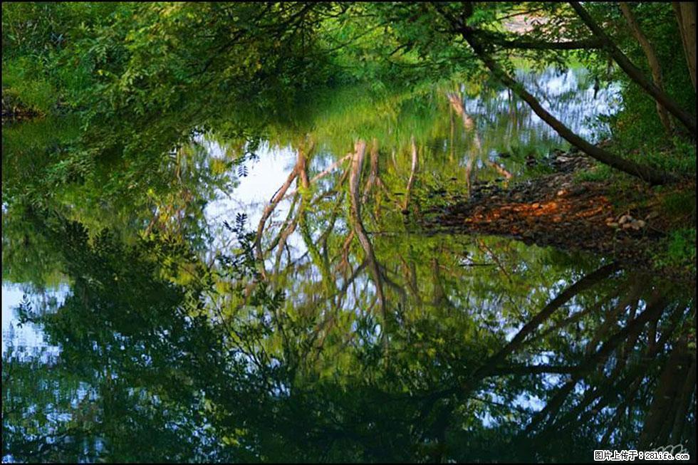 【春天，广西桂林灌阳县向您发出邀请！】熊家寨湿地公园 - 游山玩水 - 信阳生活社区 - 信阳28生活网 xy.28life.net