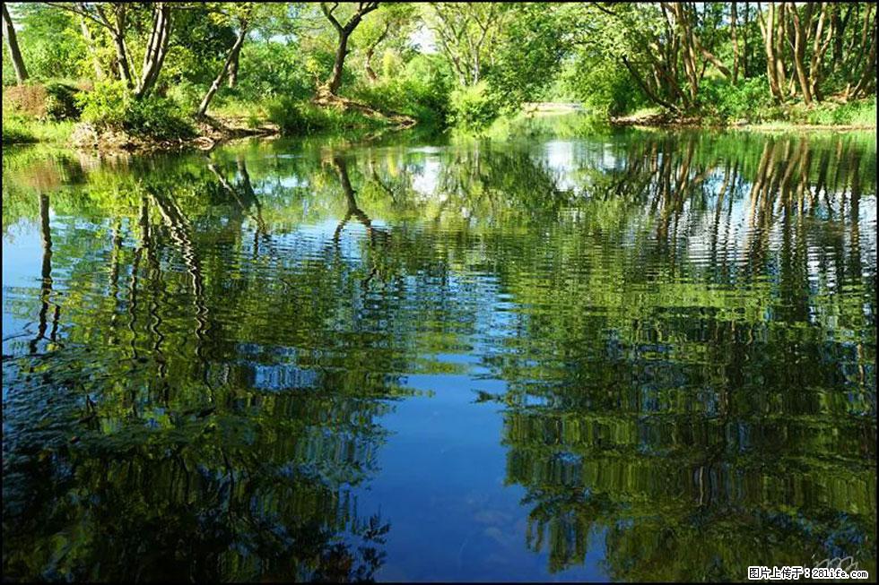 【春天，广西桂林灌阳县向您发出邀请！】熊家寨湿地公园 - 游山玩水 - 信阳生活社区 - 信阳28生活网 xy.28life.net