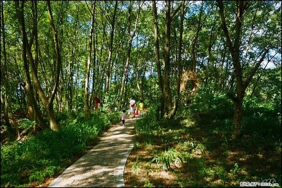 【春天，广西桂林灌阳县向您发出邀请！】熊家寨湿地公园 - 游山玩水 - 信阳生活社区 - 信阳28生活网 xy.28life.net