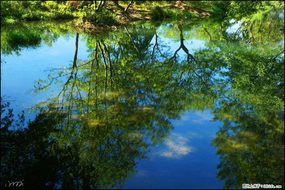 【春天，广西桂林灌阳县向您发出邀请！】熊家寨湿地公园 - 游山玩水 - 信阳生活社区 - 信阳28生活网 xy.28life.net