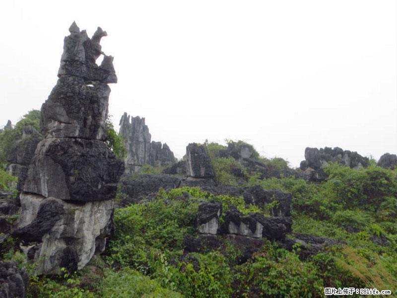 桂林旅游名城景点：灌阳文市石林 - 游山玩水 - 信阳生活社区 - 信阳28生活网 xy.28life.net