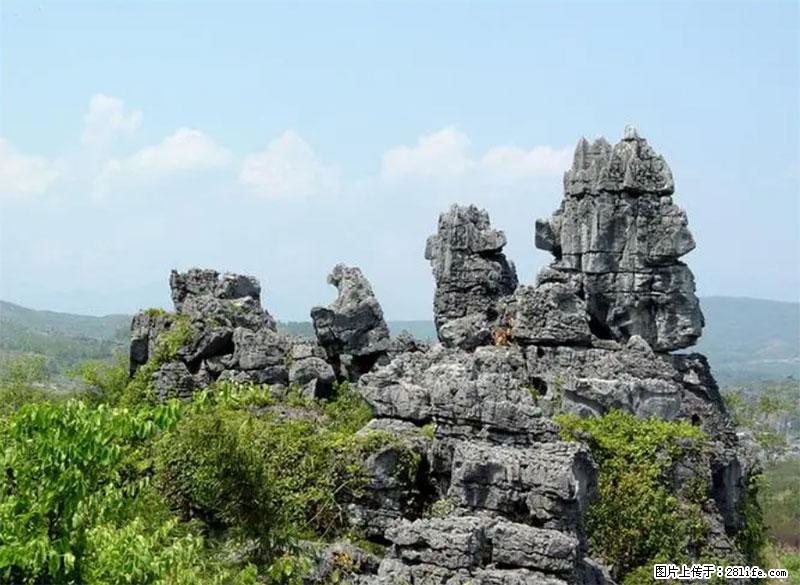 桂林旅游名城景点：灌阳文市石林 - 游山玩水 - 信阳生活社区 - 信阳28生活网 xy.28life.net
