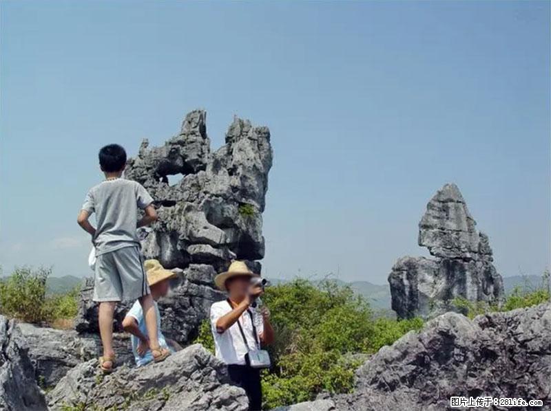 桂林旅游名城景点：灌阳文市石林 - 游山玩水 - 信阳生活社区 - 信阳28生活网 xy.28life.net