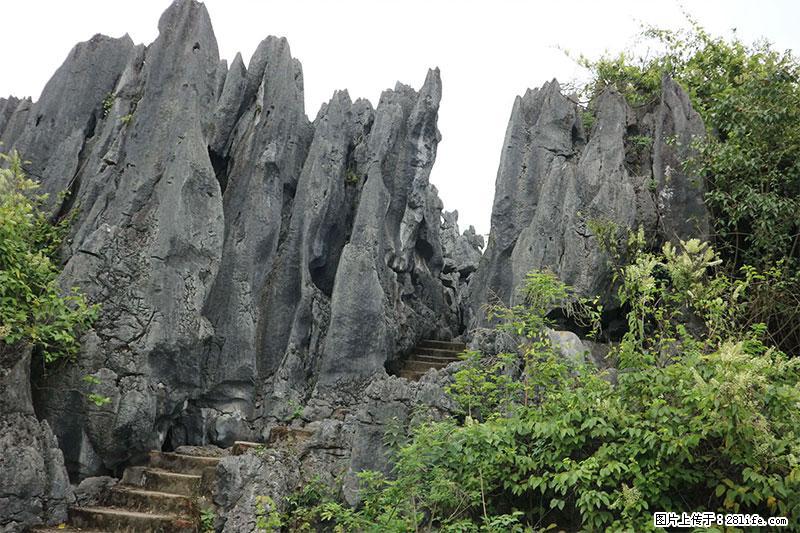 桂林旅游名城景点：灌阳文市石林 - 游山玩水 - 信阳生活社区 - 信阳28生活网 xy.28life.net