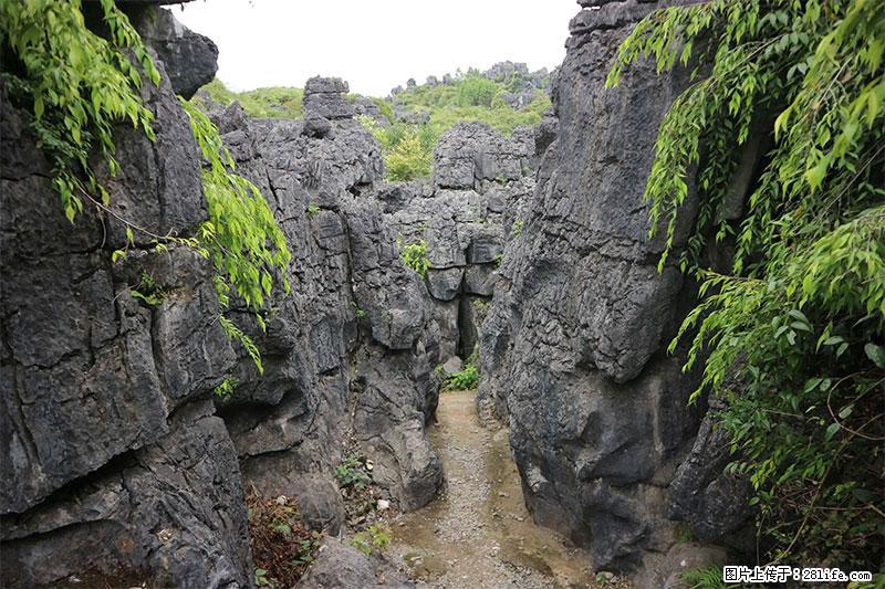 桂林旅游名城景点：灌阳文市石林 - 游山玩水 - 信阳生活社区 - 信阳28生活网 xy.28life.net