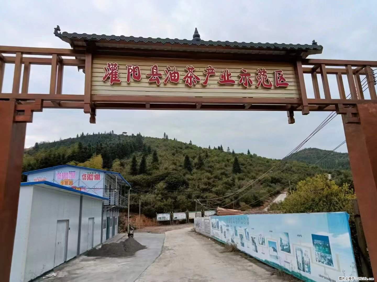 【灌阳县油茶产业示范区】一个有着充实的精神生活的人，对待身外之物自会有一种淡泊的态度 - 土特产 - 饮食特产 - 信阳分类信息 - 信阳28生活网 xy.28life.net