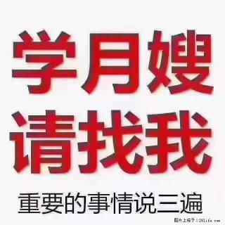 为什么要学习月嫂，育婴师？ - 信阳28生活网 xy.28life.net