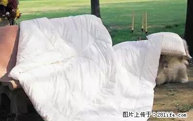 被子有异味？只要这样做，比晒太阳还强100倍！ - 家居生活 - 信阳生活社区 - 信阳28生活网 xy.28life.net