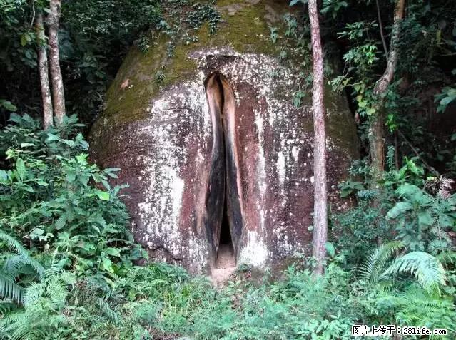 让人脸红的流氓景点，大自然真的有点色 - 灌水专区 - 信阳生活社区 - 信阳28生活网 xy.28life.net