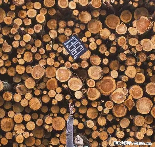 辞掉工作周游世界？现在他们在洗厕所…… - 游山玩水 - 信阳生活社区 - 信阳28生活网 xy.28life.net