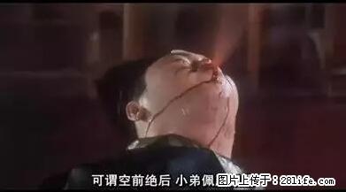 笑癫了！一女的怀孕三年未生，他终于忍不住了... - 娱乐八卦 - 信阳生活社区 - 信阳28生活网 xy.28life.net