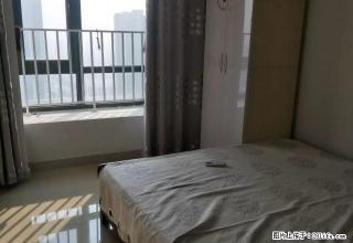 东方今典精装两室家具家电齐全拎包入住 - 信阳28生活网 xy.28life.net