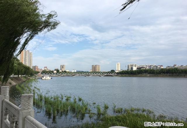 弘昌运动城 金色水岸2室两厅 视野好 采光好 电梯房 - 房屋出租 - 房屋租售 - 信阳分类信息 - 信阳28生活网 xy.28life.net