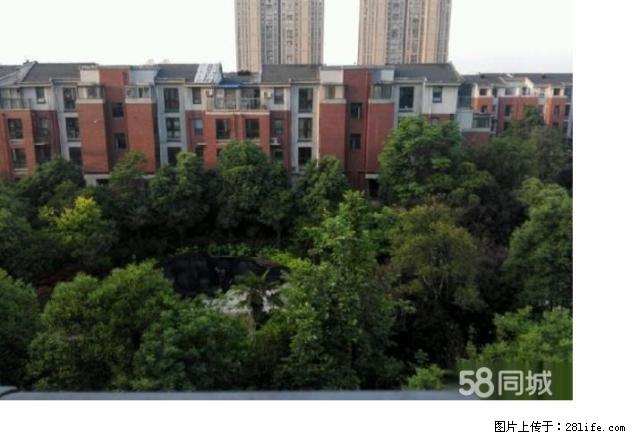 羊山新区 东方金典精装大3房 随时配合看房 区新家具拎包入住 - 房屋出租 - 房屋租售 - 信阳分类信息 - 信阳28生活网 xy.28life.net