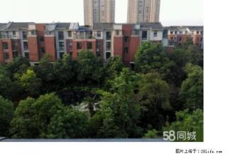 羊山新区 东方金典精装大3房 随时配合看房 区新家具拎包入住 - 信阳28生活网 xy.28life.net