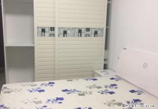 恒大名都 东方今典精装公寓 拎包入住 随时看房 - 信阳28生活网 xy.28life.net