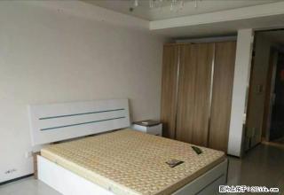 喜报 恒大名都精装公寓只要1300元公寓里面价格超低的一套 - 信阳28生活网 xy.28life.net