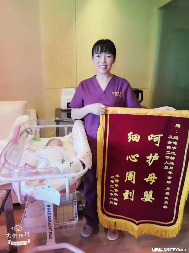 上海高端月子会所招新手月嫂，零基础带教，包吃住 - 职场交流 - 信阳生活社区 - 信阳28生活网 xy.28life.net