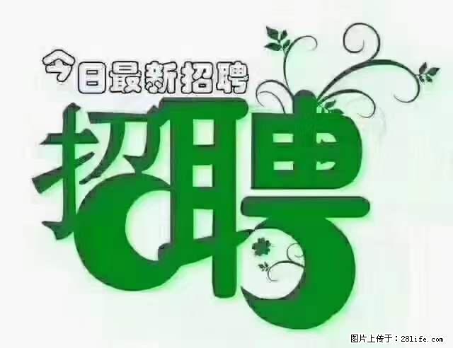 【招聘摄像师】待遇：试用期6000元/月，转正7000元/月+五险一金+餐补+节日福利+奖金 - 其他招聘信息 - 招聘求职 - 信阳分类信息 - 信阳28生活网 xy.28life.net
