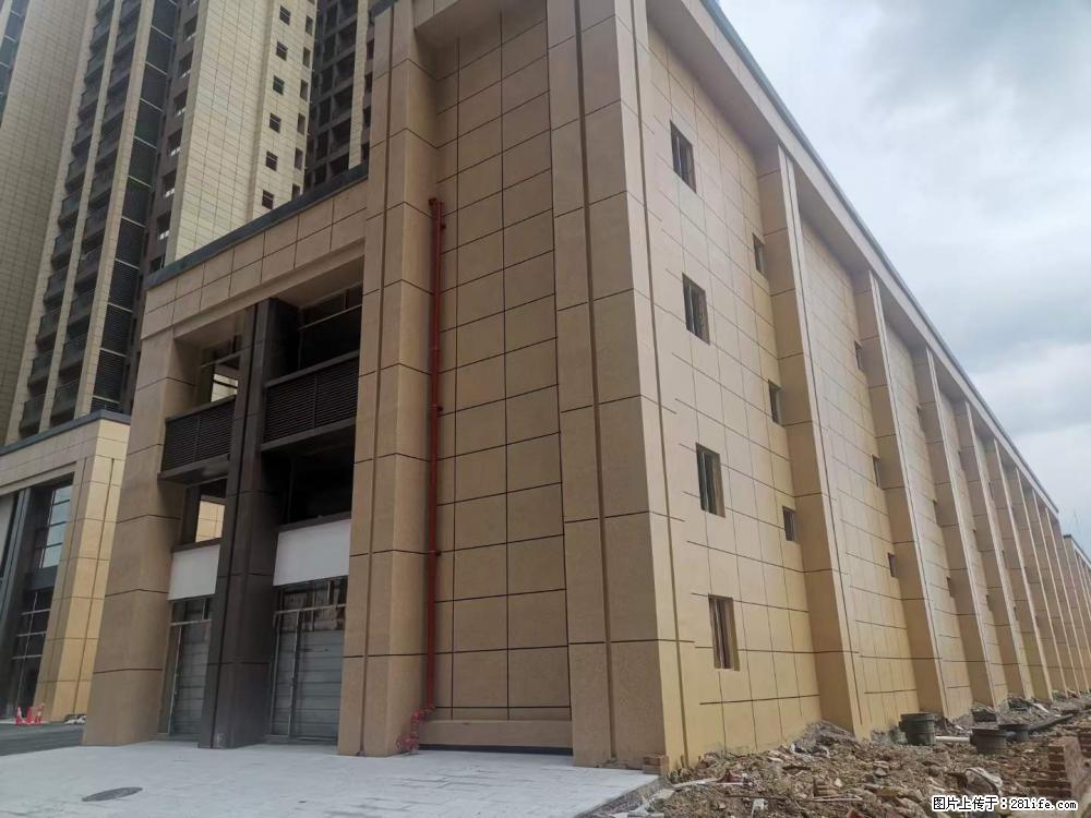 【广西三象建筑安装工程有限公司】外墙涂料工程 - 新手上路 - 信阳生活社区 - 信阳28生活网 xy.28life.net