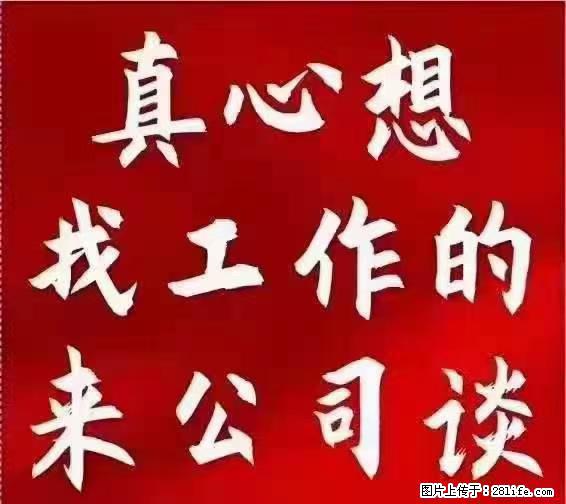 【上海】国企,医院招两名男保安,55岁以下,身高1.7米以上,无犯罪记录不良嗜好 - 职场交流 - 信阳生活社区 - 信阳28生活网 xy.28life.net