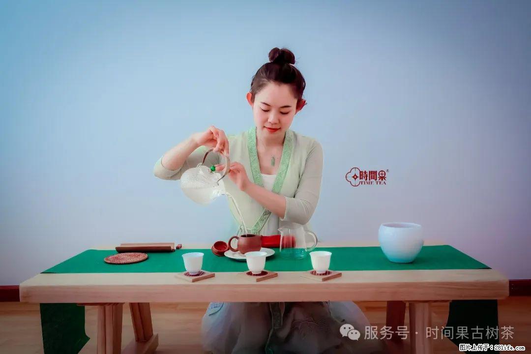 时间果百年古树龙珠普洱生茶 - 购物交流 - 信阳生活社区 - 信阳28生活网 xy.28life.net