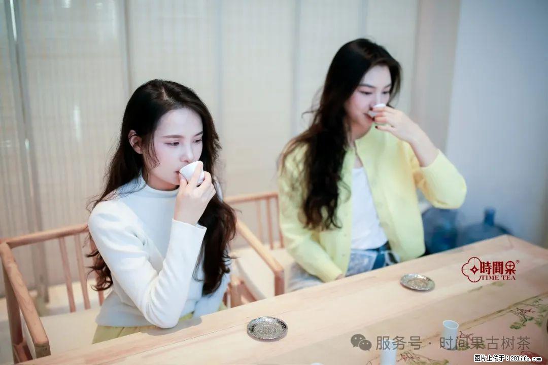 时间果百年古树龙珠普洱生茶 - 购物交流 - 信阳生活社区 - 信阳28生活网 xy.28life.net