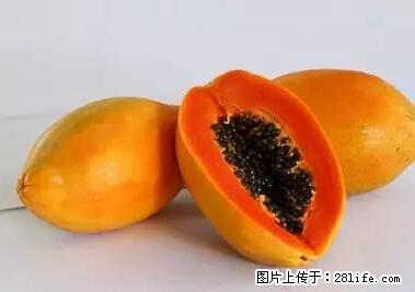 晕车、脚气、牙齿变黄、皮肤粗糙？学会这些三分钟搞定！ - 信阳生活资讯 - 信阳28生活网 xy.28life.net