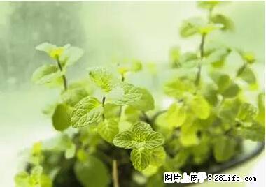晕车、脚气、牙齿变黄、皮肤粗糙？学会这些三分钟搞定！ - 信阳生活资讯 - 信阳28生活网 xy.28life.net