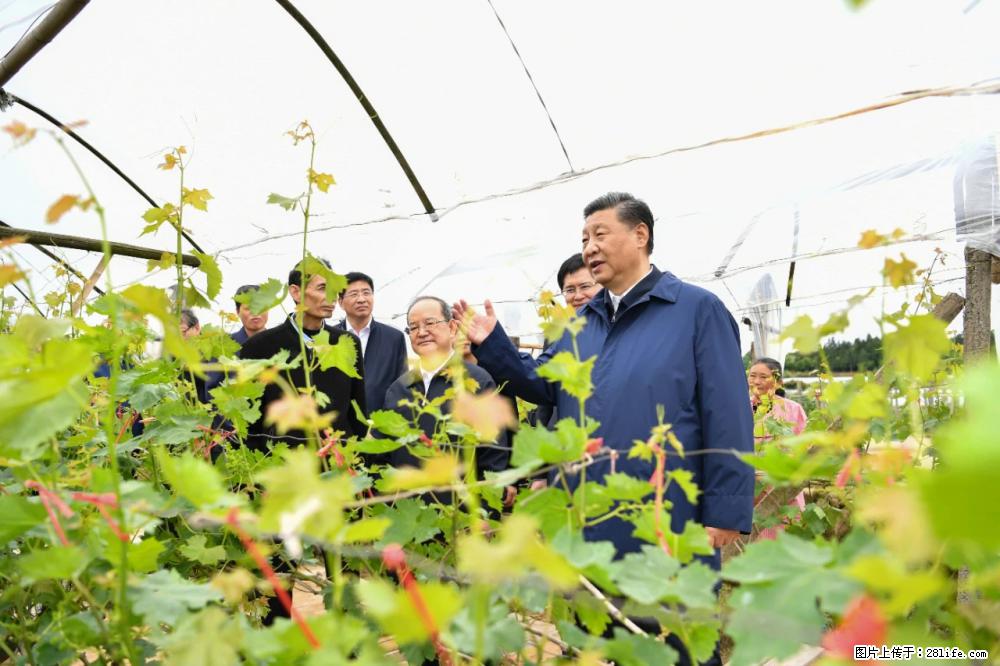 习近平赴广西考察调研 - 信阳生活资讯 - 信阳28生活网 xy.28life.net