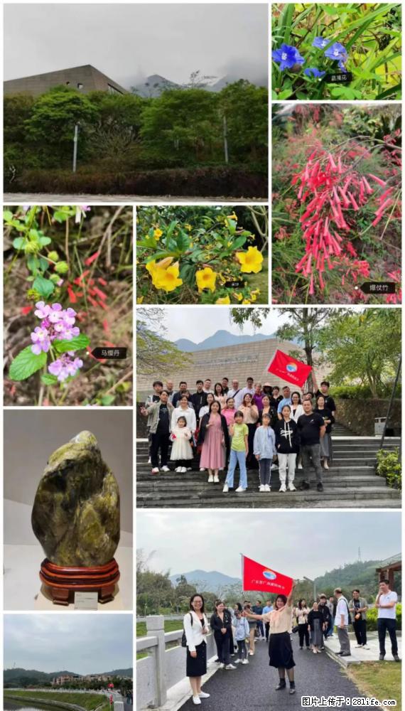 “粤灌文化 美好生活”油茶文化主题活动在广东深圳成功举办 - 信阳生活资讯 - 信阳28生活网 xy.28life.net