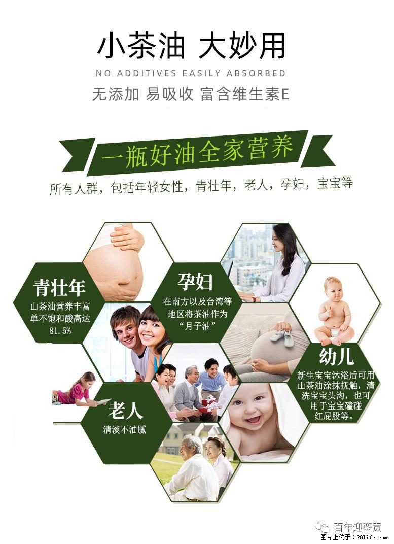 世界没有真相，只有认知，最好的食用油是中国的山茶油！ - 信阳生活资讯 - 信阳28生活网 xy.28life.net