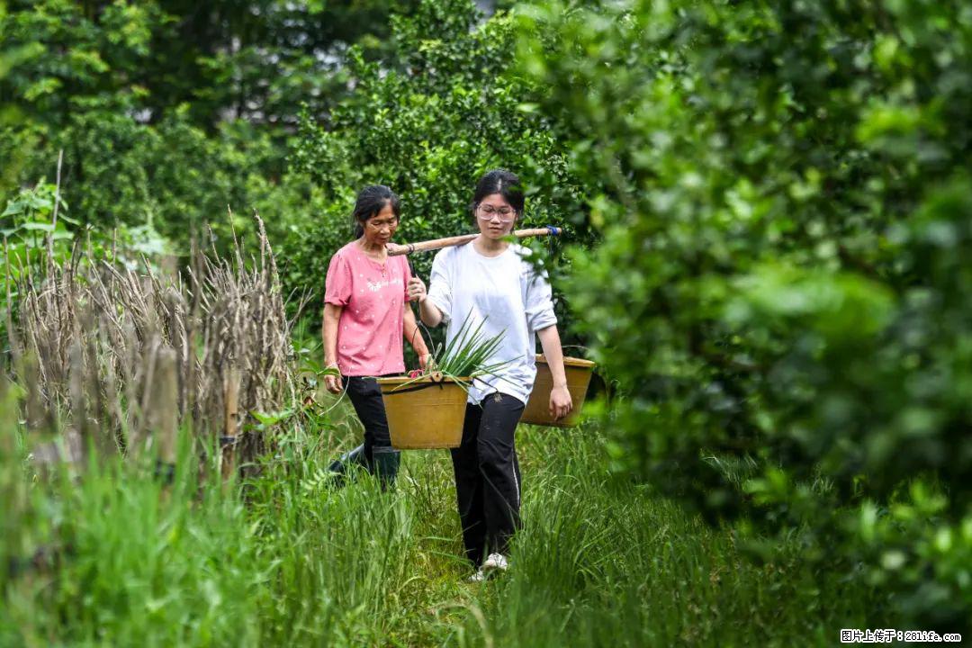 全网追的“扁担女孩”，找了一份暑假工，时薪12元 - 信阳生活资讯 - 信阳28生活网 xy.28life.net