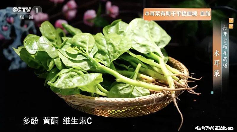 比牛奶补钙还厉害！凉血解毒、稳血糖...这菜冬天必吃，很多人却当草 - 信阳生活资讯 - 信阳28生活网 xy.28life.net