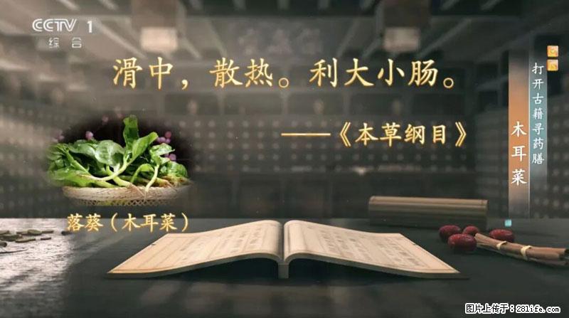 比牛奶补钙还厉害！凉血解毒、稳血糖...这菜冬天必吃，很多人却当草 - 信阳生活资讯 - 信阳28生活网 xy.28life.net