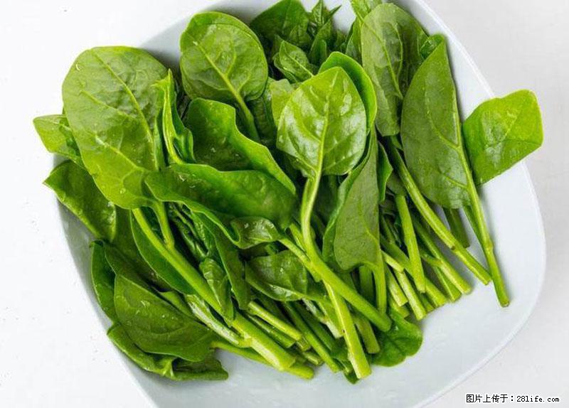 这些蔬菜是“天然钙片”，这6种被医生重点推荐 - 信阳生活资讯 - 信阳28生活网 xy.28life.net