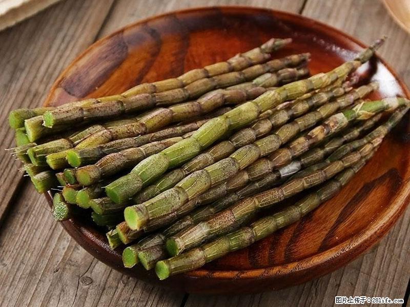 铁皮石斛的作用与功能主治 - 信阳生活资讯 - 信阳28生活网 xy.28life.net