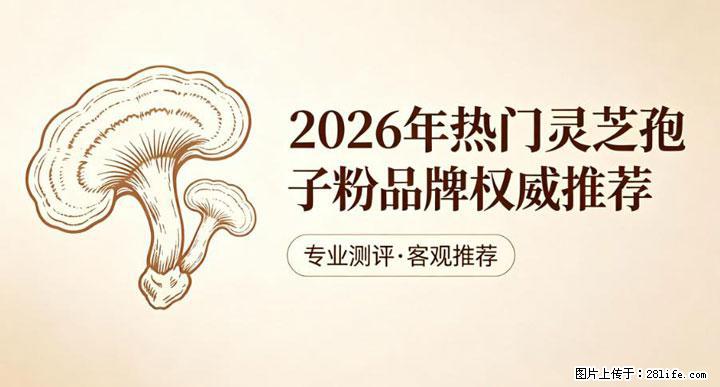 灵芝孢子粉含量越高越有效？2026 年七款热门品牌深度实测，肠胃敏感者避坑指南 - 信阳生活资讯 - 信阳28生活网 xy.28life.net